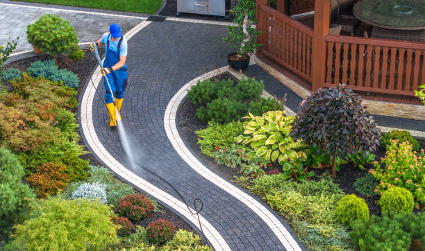 Best Affordable Pressure Washing  in , NY