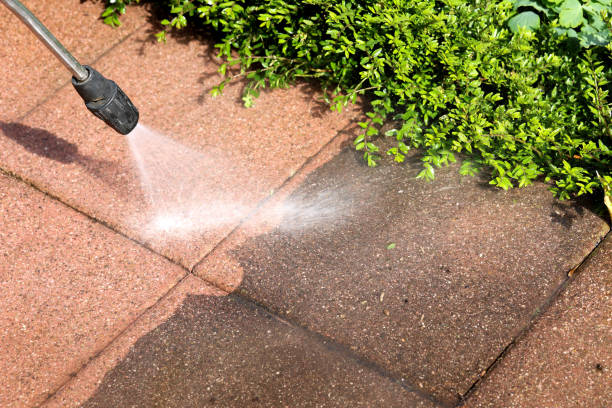Best Exterior Home Cleaning  in , NY
